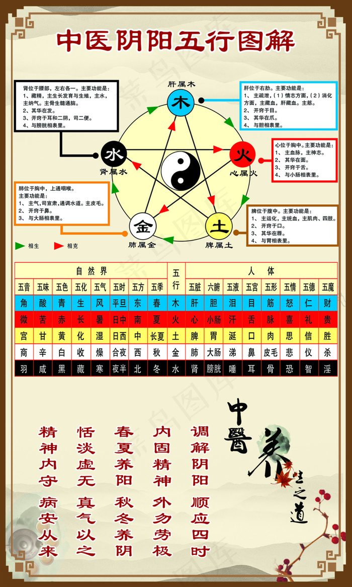 中医阴阳五行图解