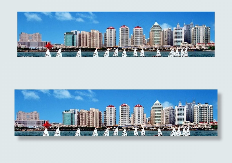 杨帆青岛图片