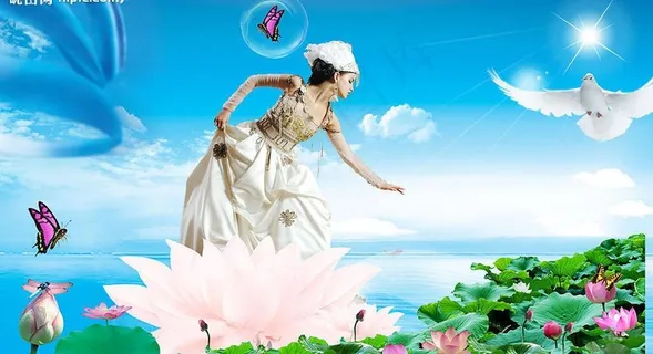 美丽的荷花图片