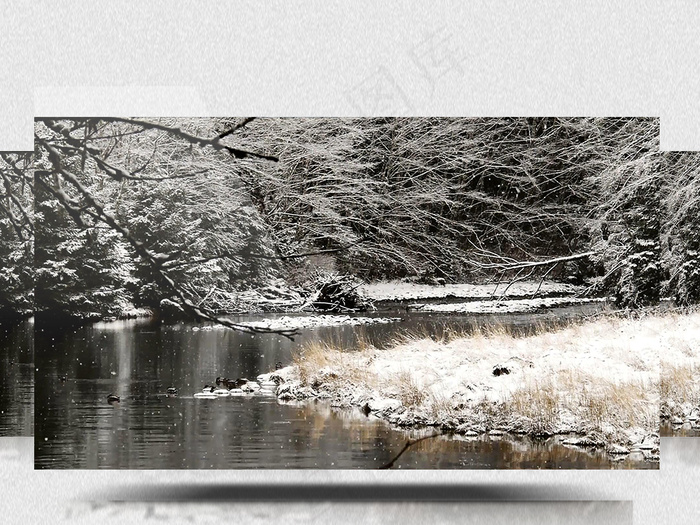 小河边雾凇树旁唯美雪景高清实拍