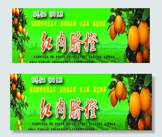 红肉脐橙水果店门头图片