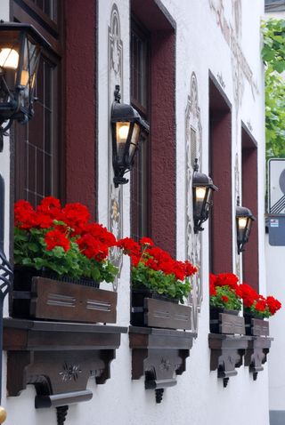 欧式楼房 特写图片