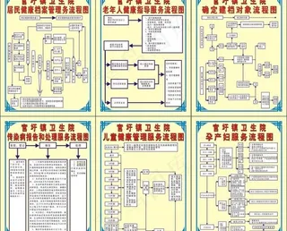 公共卫生流程图图片