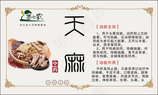 天麻  天麻标签    白标签