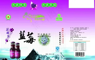 蓝莓包装图片