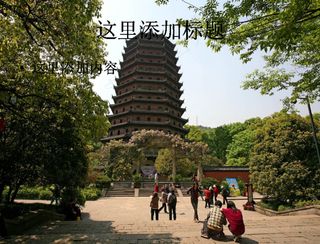 六和塔的牡丹花图片(5)