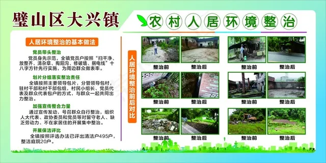 蓝绿清新*环境整治展板