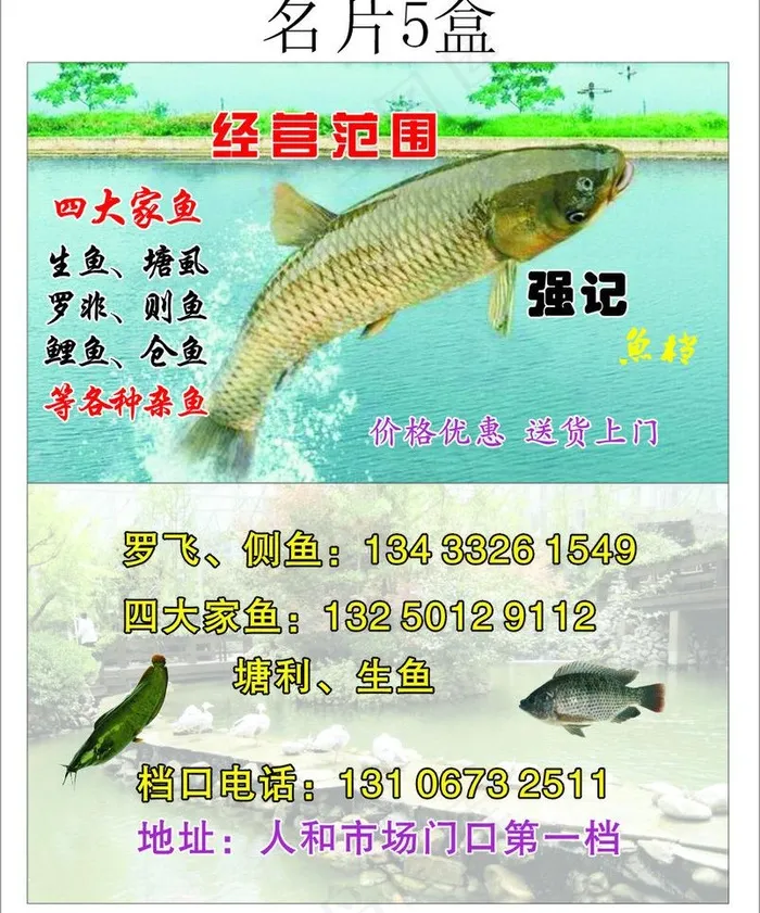 鱼名片图片cdr矢量模版下载