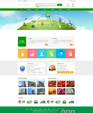 易狼网络 案例展示图片