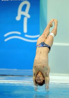 男子3米跳板冠军何冲图片