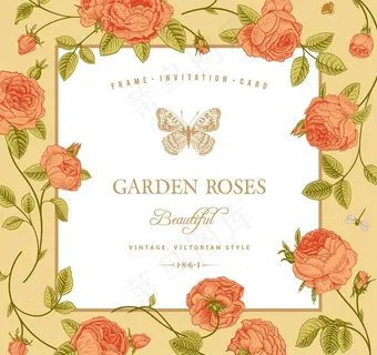 玫瑰鲜花花卡图片