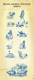 动物动画钢笔画天鹅鸭鸡鸟线稿海报杂...