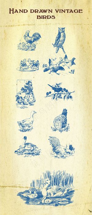 动物动画钢笔画天鹅鸭鸡鸟线稿海报杂...