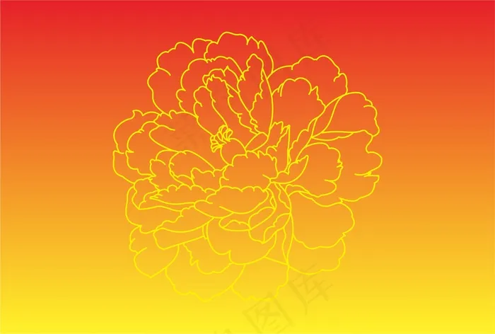 红黄渐变色 牡丹花线条