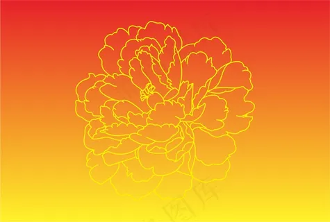 红黄渐变色 牡丹花线条
