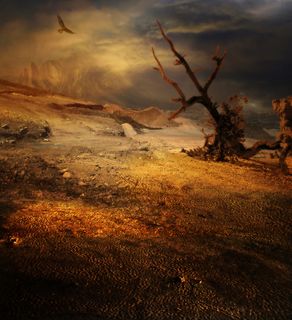 美丽沙漠风景高清图片 美丽沙漠风景高清图片