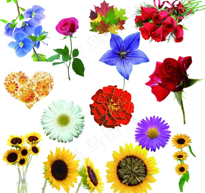 分层花朵图片