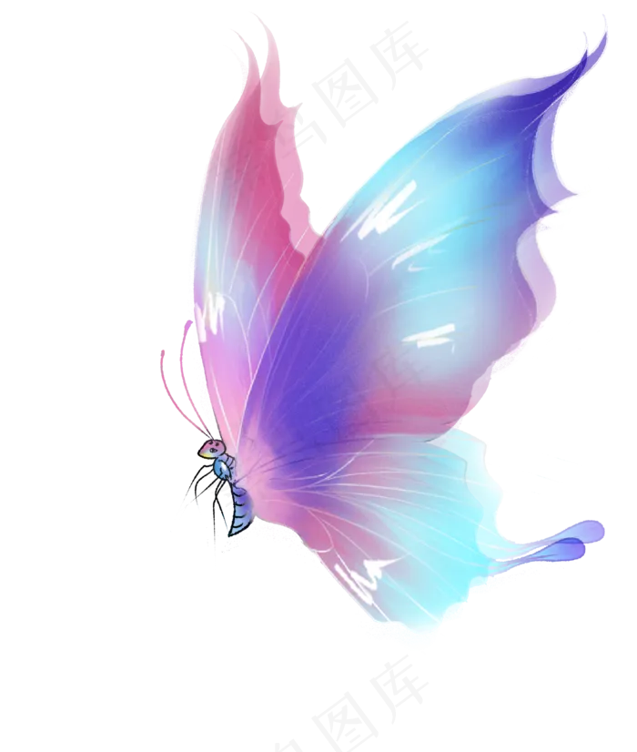 动物蝴蝶png,免抠元素(3166*3737px 300 dpi )psd模版下载