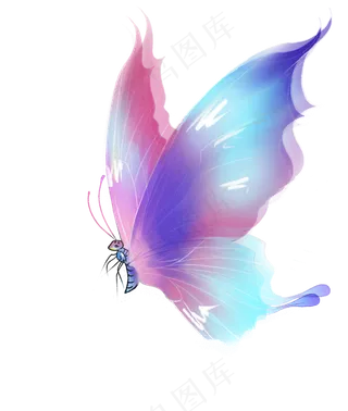 动物蝴蝶png,免抠元素