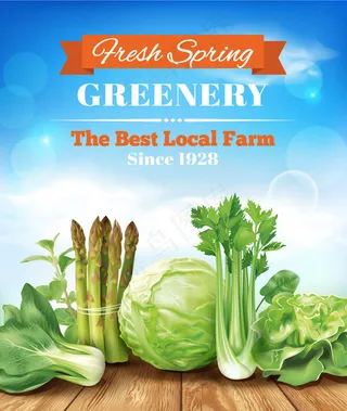 精美绿色蔬菜矢量素材