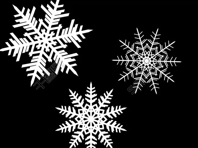 精致的雪花ps笔刷psd模版下载