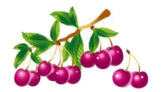 6款 质感水果 矢量素材图片