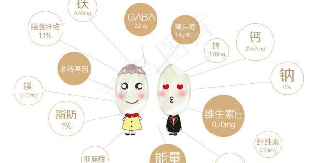 大米的营养元素