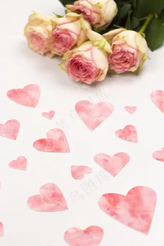 粉色玫瑰花静物设计素材