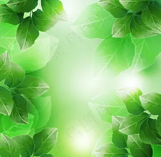 美丽的绿色的树叶矢量素材 美丽的绿色的树叶矢量素材