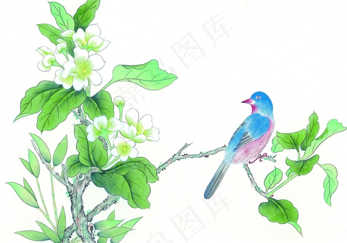 绿色花鸟