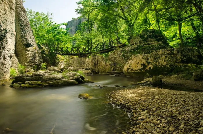 小溪木桥风景
