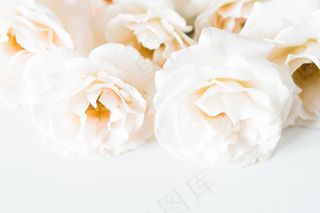 简约小清新文艺风插花静物摆拍背景