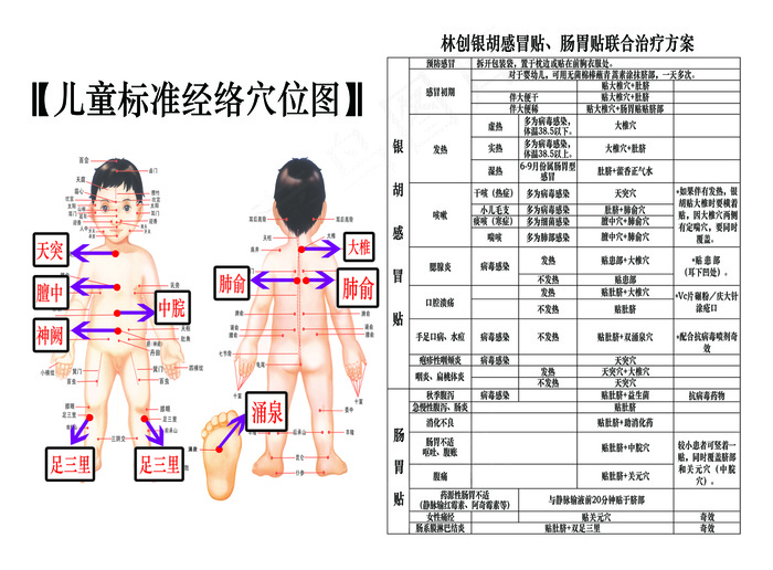 林创儿童标准经络穴位图psd模版下载