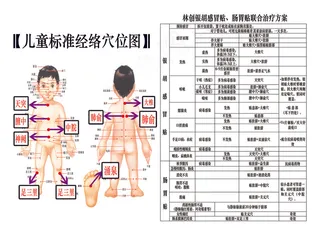 林创儿童标准经络穴位图