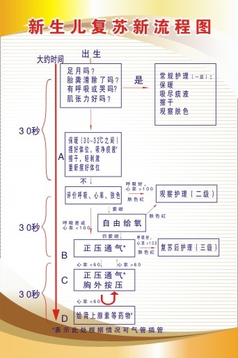 医院科室制度27cdr矢量模版下载