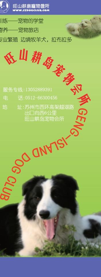 宠物会所易拉宝图片ai矢量模版下载