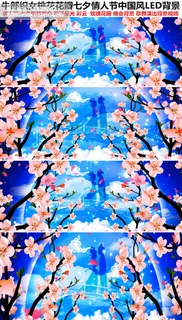 牛郎织女桃花花瓣七夕情人节LED背...