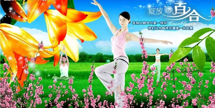 绽放的百合图片(2953X1655(DPI:300))psd模版下载