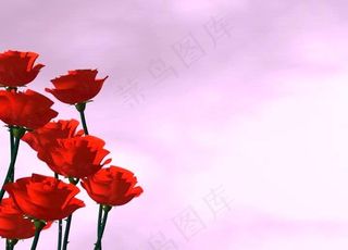 婚礼视频素材图片