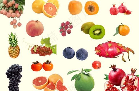 水果集合图片