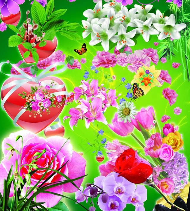 鲜花及花边图片