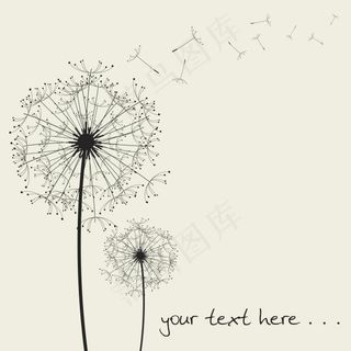 底纹线条矢量素材