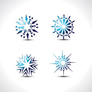 特别的雪花矢量