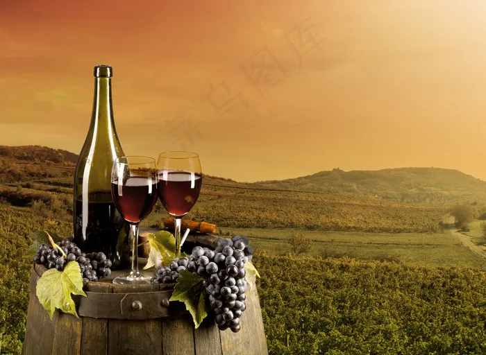 葡萄酒庄园图片