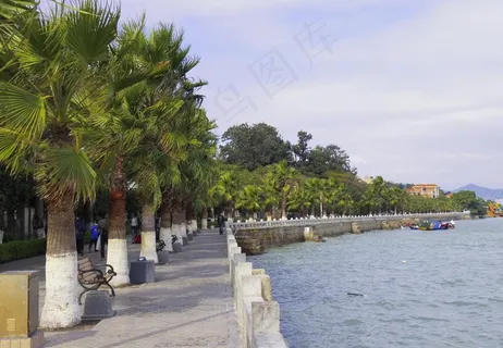 透视棕榈树海景图片 透视棕榈树海景图片