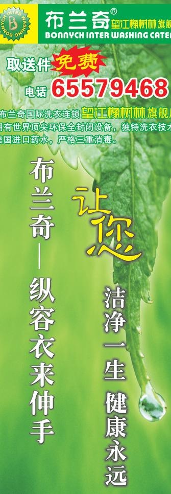 布兰奇易拉宝展架海报宣传图片cdr矢量模版下载