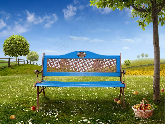 草地上的椅子图片