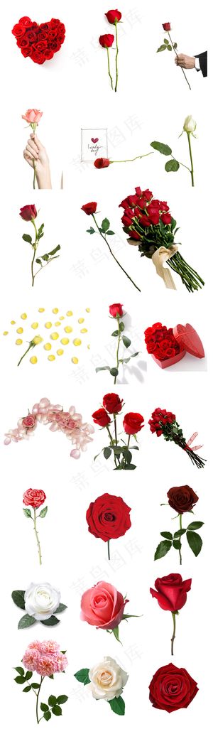 单支捧花花束手绘花篮玫瑰花素材