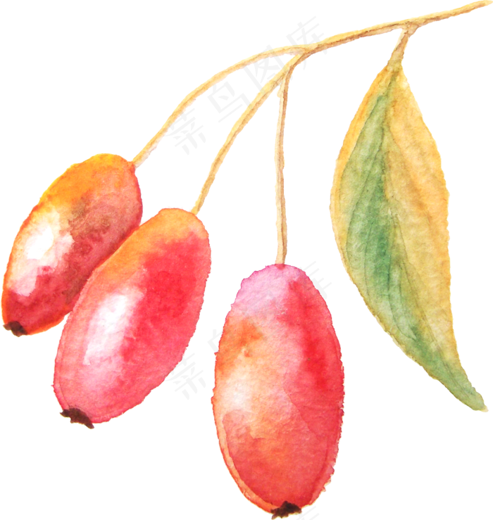 水彩静物杂物食品PNG