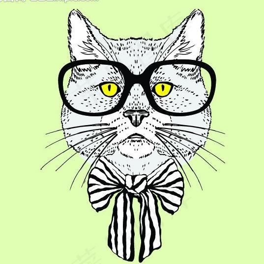 小猫图片ai矢量模版下载